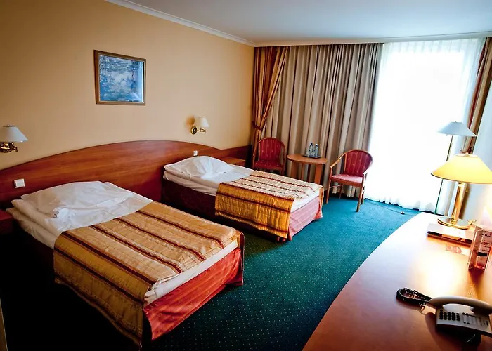 Atut W Licheniu Licheń Stary